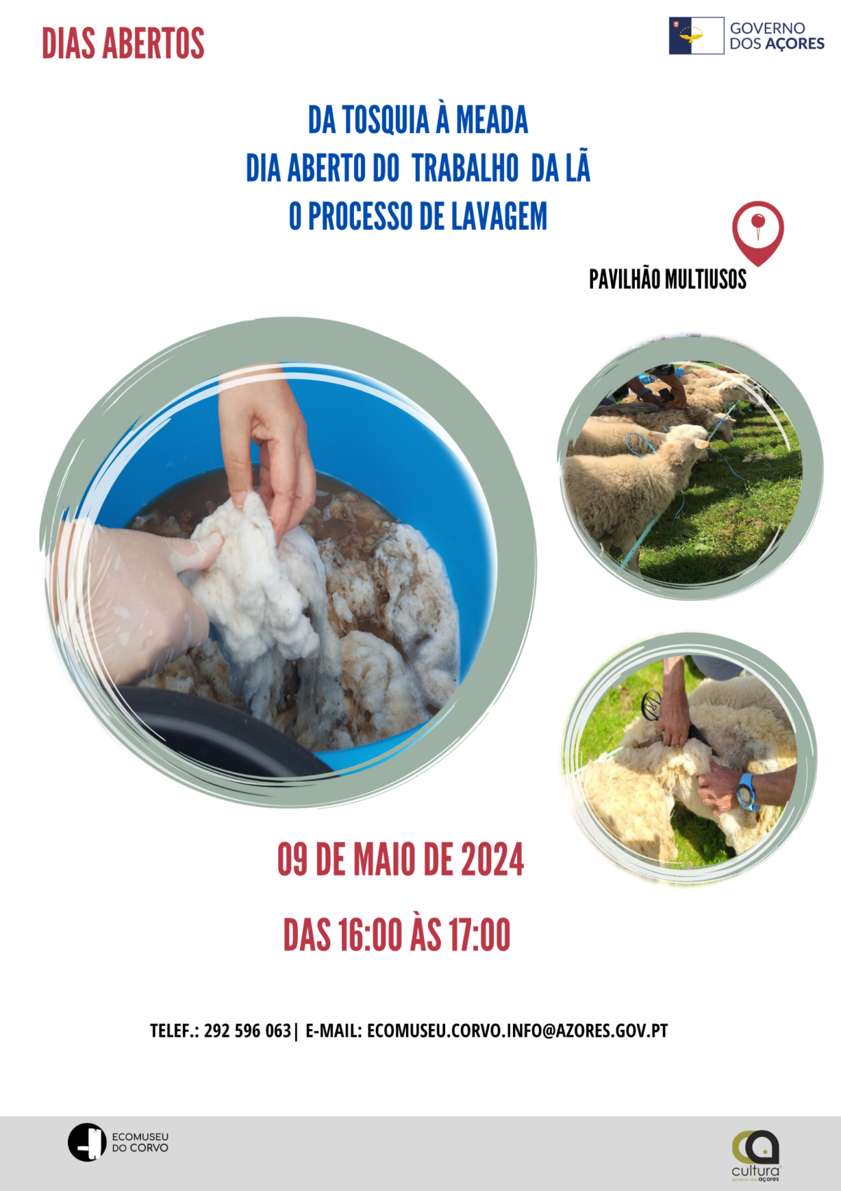 Dia Aberto do Trabalho da lã: o processo de lavagem's featured image